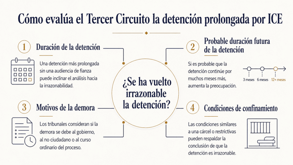 Infografía en español sobre los cuatro factores que examina el Tercer Circuito en casos de detención prolongada de ICE