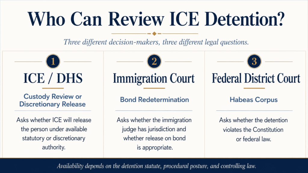Comparison of ICE, immigration court, and federal court authority over immigration detention