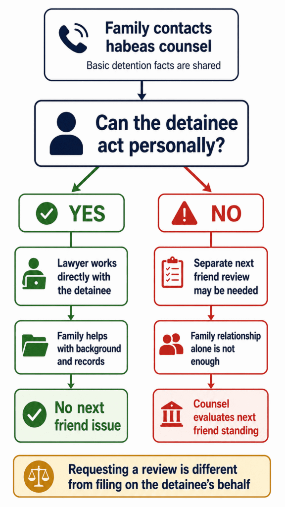 Diagram distinguishing family habeas review from next friend standing in federal court