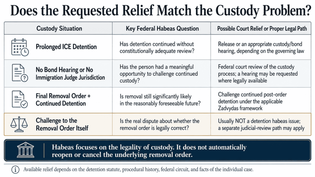 Federal habeas infographic showing how different ICE custody problems connect to possible federal court remedies