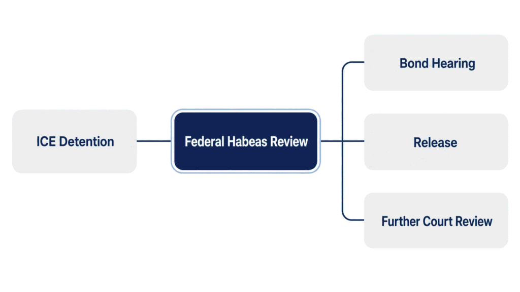 Diagram showing the six different ways an immigration habeas case can close in federal court