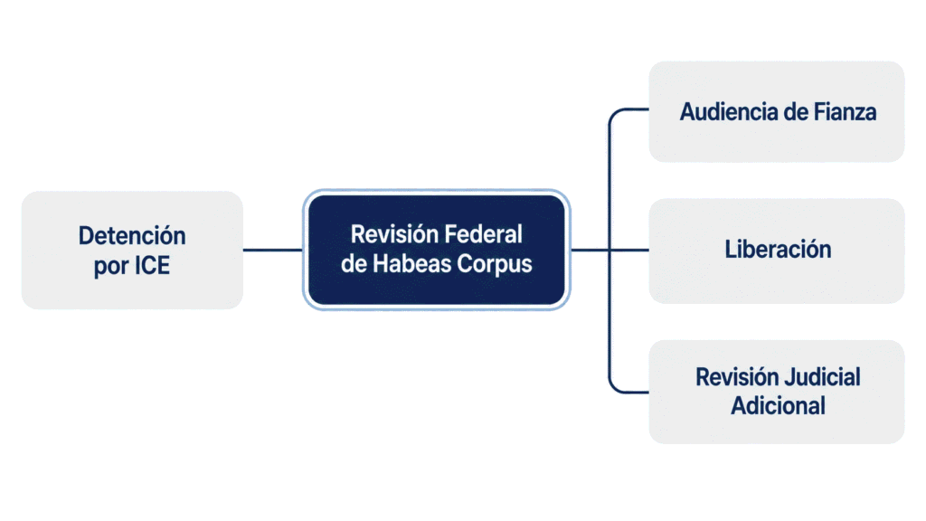 Diagrama que muestra las seis formas en que puede cerrarse un expediente de habeas corpus migratorio en la corte federal