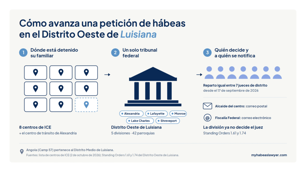 Infografía que muestra cómo avanza una petición de hábeas corpus en el Distrito Oeste de Luisiana: del centro de detención al tribunal federal, el reparto entre siete jueces y la notificación al alcaide y a la Fiscalía Federal.