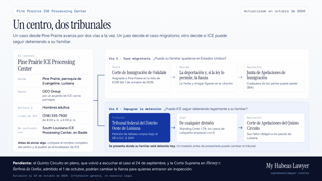 Infografía que muestra que un caso desde Pine Prairie ICE Processing Center avanza por dos vías: deportación y fianza ante la Corte de Inmigración de Oakdale, y petición de hábeas corpus ante el tribunal federal del Distrito Oeste de Luisiana
